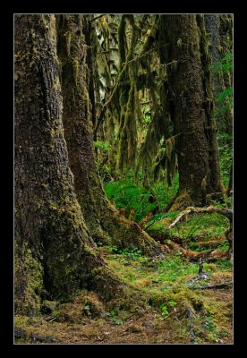 _DS01047_rs.jpg