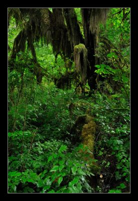 _DS01048_rs.jpg