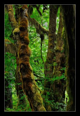 _DS01053_rs.jpg