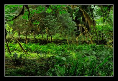 _DS01054_rs.jpg