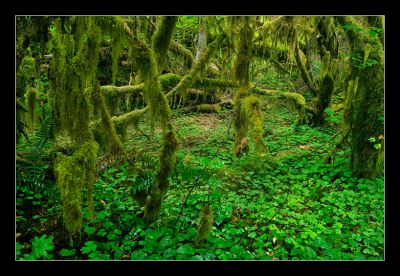 _DS01055_rs.jpg