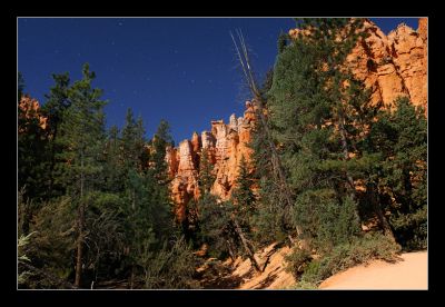 _DS02066_rs.jpg