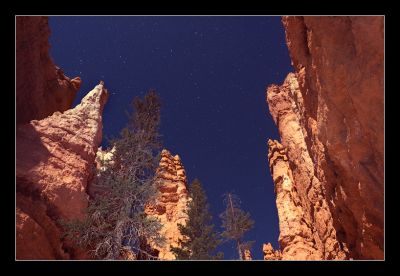 _DS02077_rs.jpg