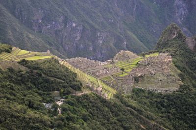 _DS03270.JPG