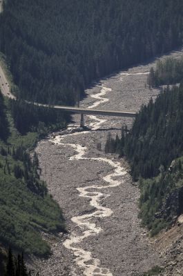 _DS08241.JPG