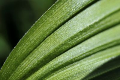 _DS08280.JPG