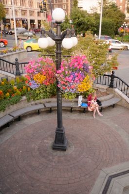 _DS08531.JPG