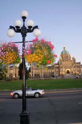 _DS08575.JPG