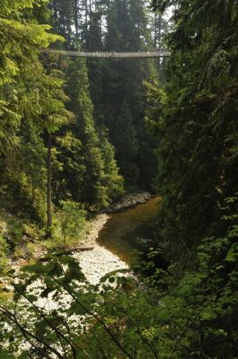 _DS08671.JPG