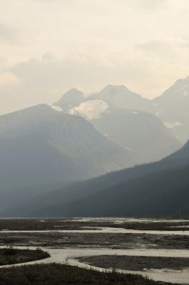 _DS08937.JPG