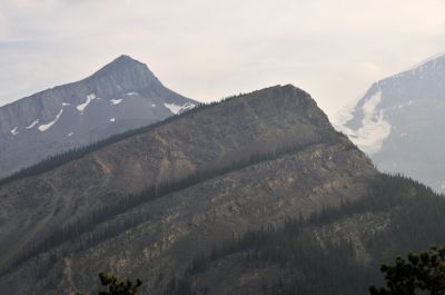 _DS08945.JPG