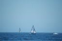 DSC_0985.jpg