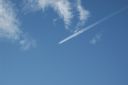 DSC_1338.jpg