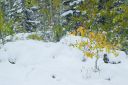 DSC_15251_rs.jpg