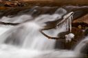 DSC_17287_rs.jpg