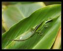 DSC_26557_rs.jpg