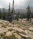 DSC_3841_42_rs.jpg