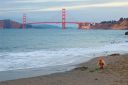 DSC_4949_rs.jpg