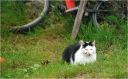 DSC_5364.jpg