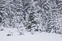 DSC_5524_rs.jpg