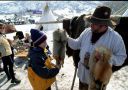 Olympics_IMG_21_rs.jpg