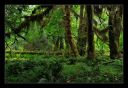 _DS01052_rs.jpg